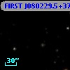 FIRST J080229.5+373258