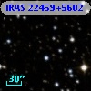 IRAS 22459+5602