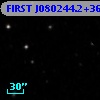 FIRST J080244.2+363516