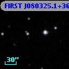 FIRST J080325.1+362838