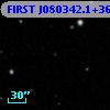 FIRST J080342.1+361100