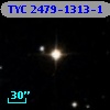 TYC 2479-1313-1