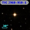 TYC 2960-950-1