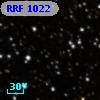 RRF 1022