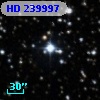 HD 239997
