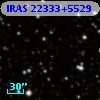 IRAS 22333+5529