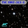 TYC 3987-313-1
