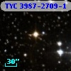 TYC 3987-2709-1