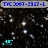 TYC 3987-2917-1