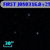 FIRST J080316.0+294952