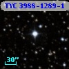 TYC 3988-1289-1