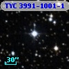 TYC 3991-1001-1