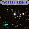 TYC 3991-1929-1