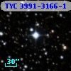 TYC 3991-3166-1