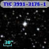TYC 3991-3178-1