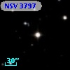 NSV  3797