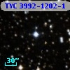 TYC 3992-1202-1