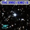 TYC 3992-1302-1