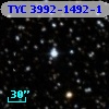 TYC 3992-1492-1