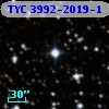 TYC 3992-2019-1