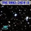TYC 3992-2428-1