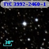 TYC 3992-2460-1