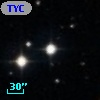 TYC  788-877-1
