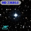 HD 236013