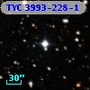 TYC 3993-228-1