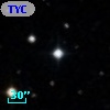 TYC  784-306-1