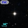 TYC  784-645-1