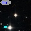 TYC  784-1211-1