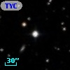 TYC  788-742-1