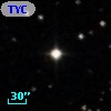 TYC  781-601-1
