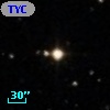 TYC  784-343-1
