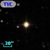 TYC  784-565-1