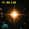 V* BS CMi