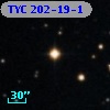 TYC  202-19-1