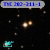 TYC  202-311-1