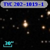 TYC  202-1019-1