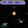TYC  206-204-1