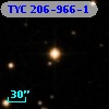 TYC  206-966-1