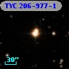 TYC  206-977-1