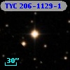 TYC  206-1129-1