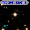 TYC  206-1295-1