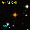 V* AE CMi