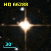 HD  66288