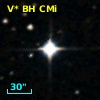 V* BH CMi