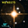 HD  65175