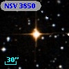NSV  3850